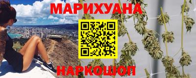 сатива Будённовск