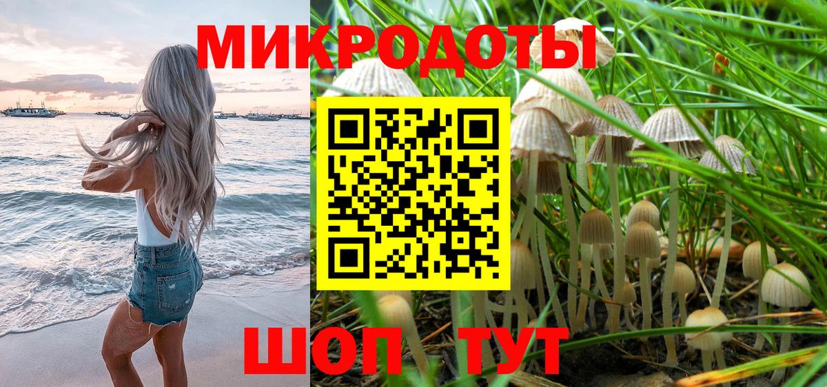 Галлюциногенные грибы Psilocybe  купить  цена  Сибай  Вход с VPN 