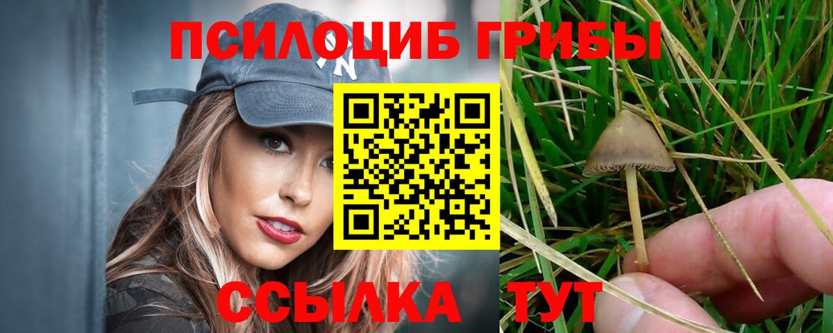 Галлюциногенные грибы Psilocybine cubensis Сибай